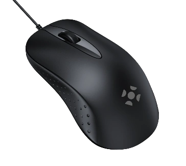 Mouse M13